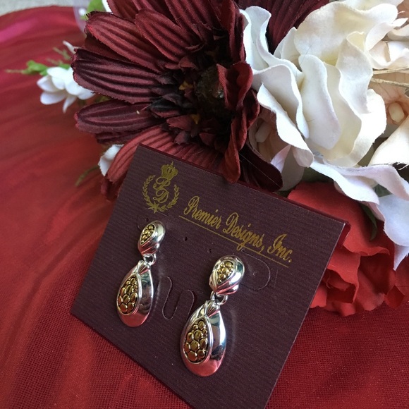 Premier Designs Earrings - Picture 1 of 3
